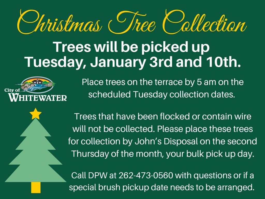 Christmas Tree Collection 2023