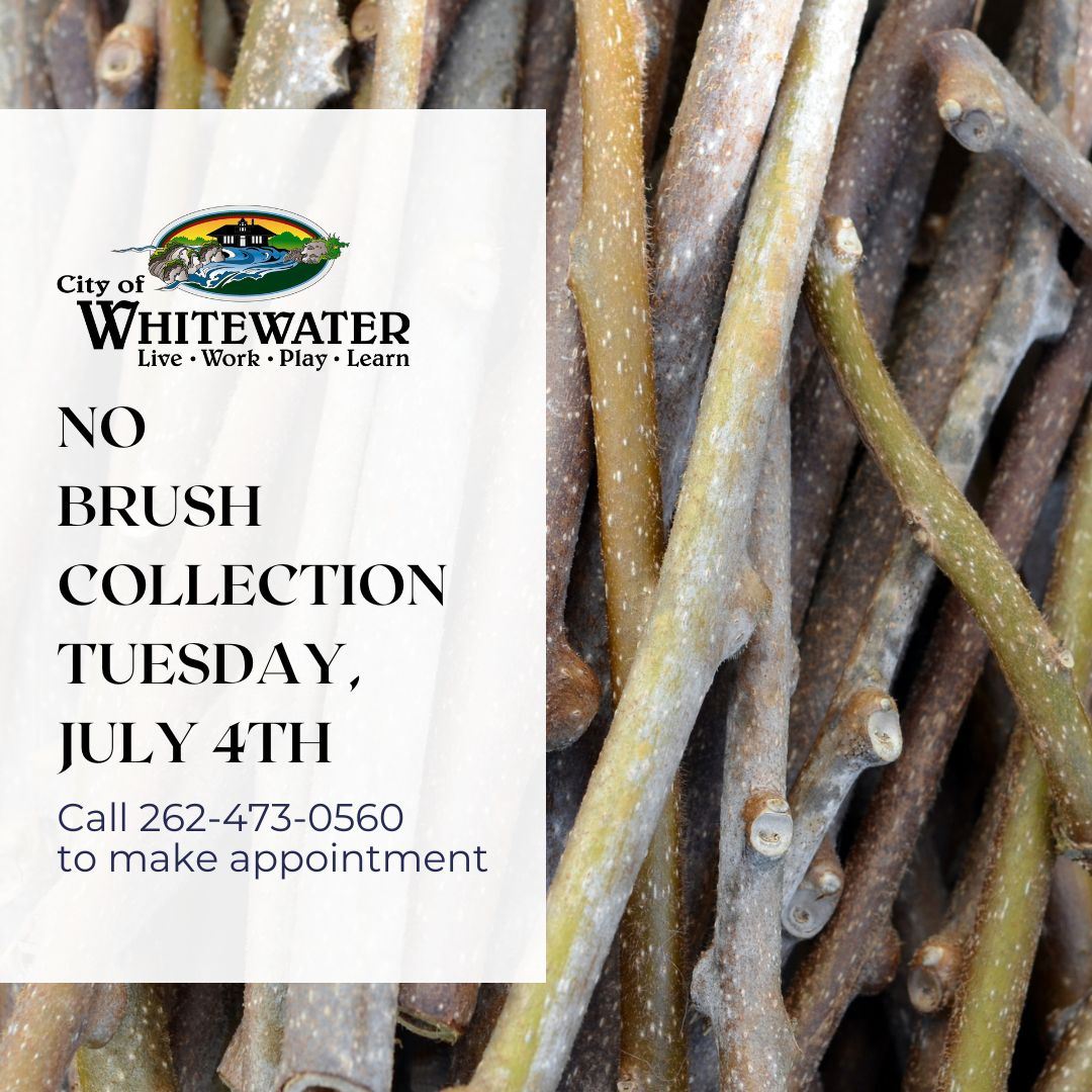 No brush pick up 7/4